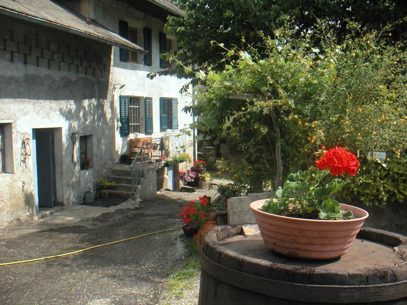 Domaine De La Safraniere - Chambre D'Hote Saint-Leger  Luaran gambar