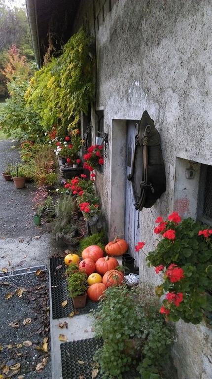Domaine De La Safraniere - Chambre D'Hote Saint-Leger  Luaran gambar